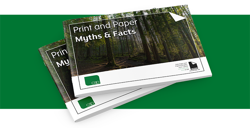 Two Sides Landscape Brochure on green